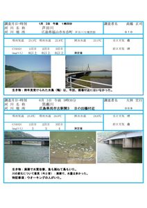 水環境調査 2019年のサムネイル