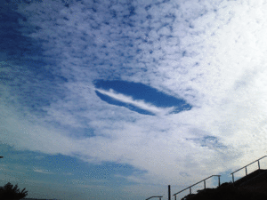 青い唇（2019年9月29日撮影）