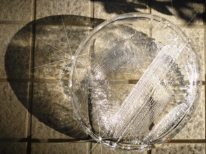 初氷（2021年1月9日）