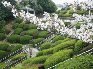 津田サイエンスヒルズ（2021/ 3/25）