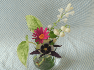 春の花（2021/4/24）