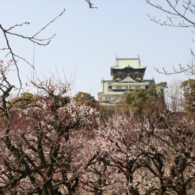 大阪城と梅林