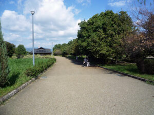 BBQ会場入口から見た公園風景