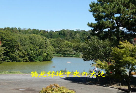 鶴見緑地中央の大池