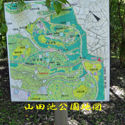 山田池公園内の地図