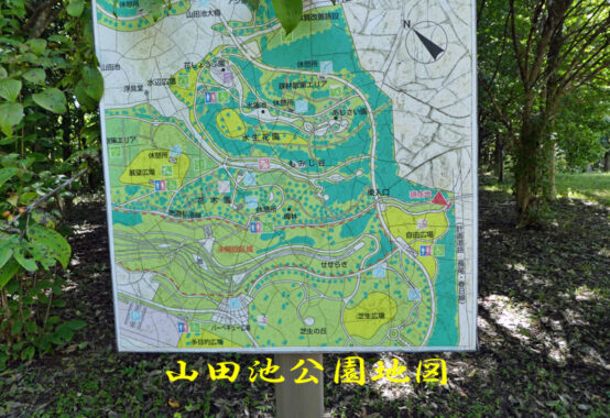 山田池公園内の地図