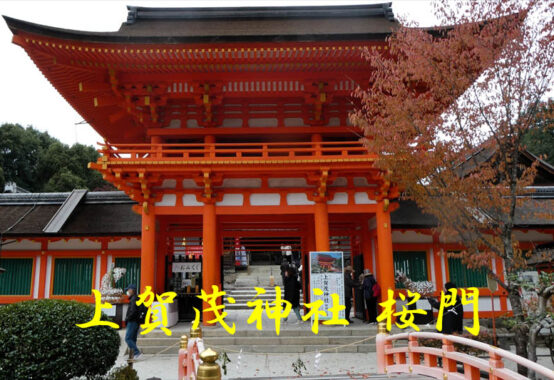 上賀茂神社 桜門