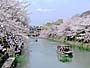 鴻東運河お花見用の十石舟