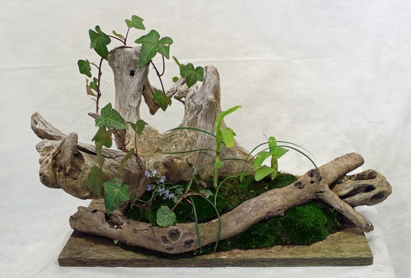 組木流木盆栽(工芸) 樫本 昌三(8班)