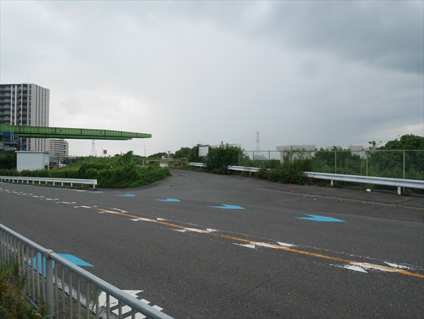 2022年 8月23日 撮影