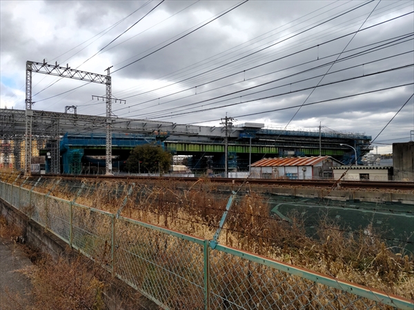 2023年 1月 4日 撮影