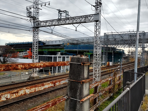 2023年 1月 4日 撮影