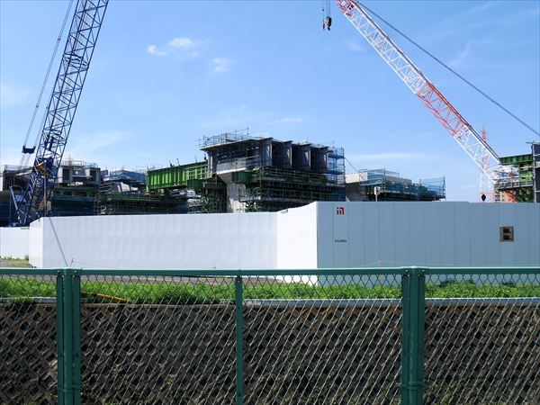 2023年 7月 2日 撮影