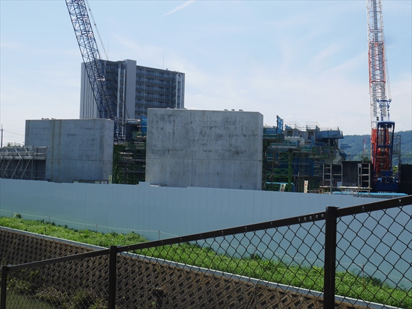 2023年 7月 2日 撮影