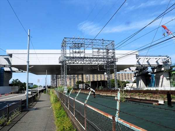 2023年 7月 2日 撮影