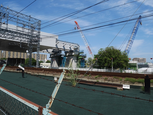 2023年 7月 2日 撮影