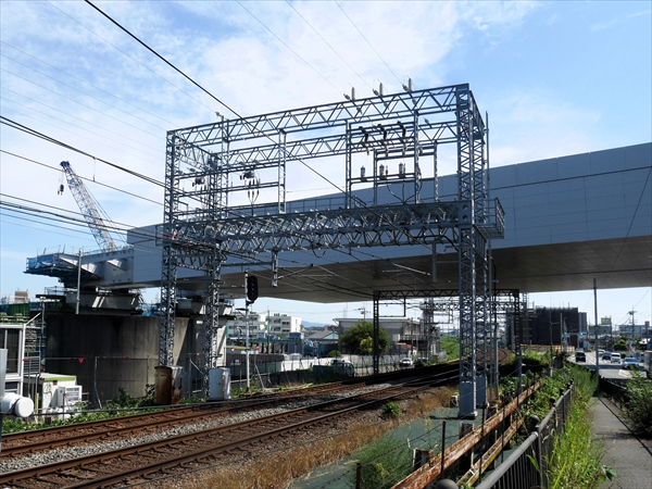 2023年 7月 2日 撮影