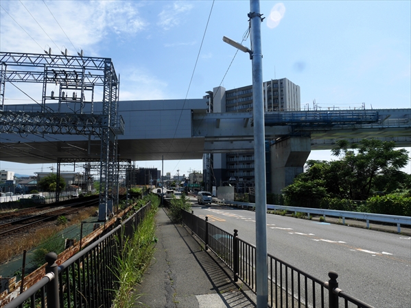 2023年 7月 2日 撮影