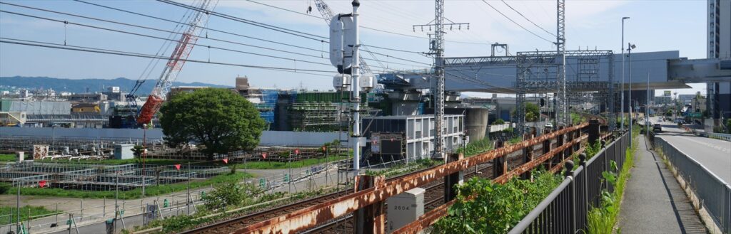 2023年 7月 2日 撮影