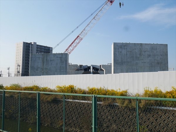 2023年11月 5日 撮影