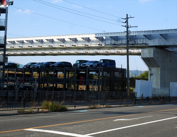 2023年11月 5日 撮影