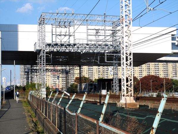 2023年11月 5日 撮影