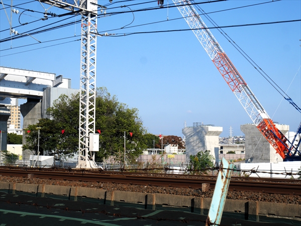 2023年11月 5日 撮影