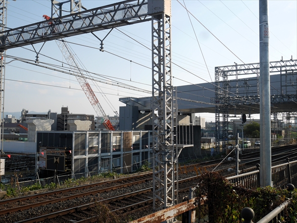 2023年11月 5日 撮影