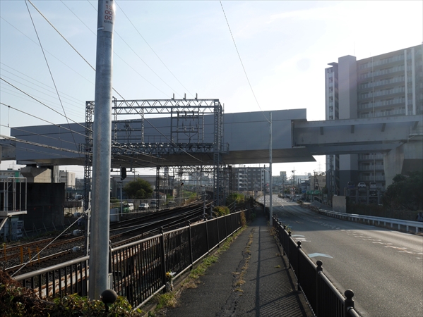 2023年11月 5日 撮影