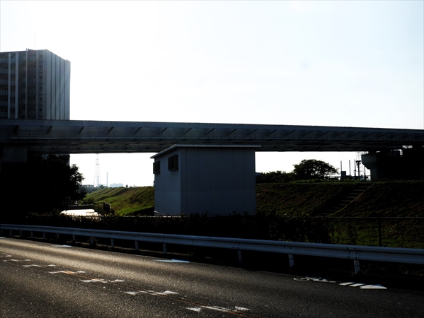 2023年11月 5日 撮影