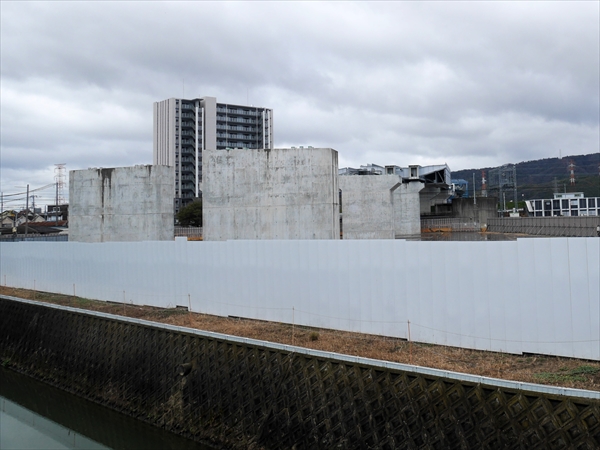 2024年 1月 4日 撮影