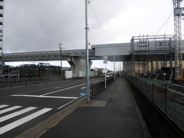 2024年 1月 4日 撮影