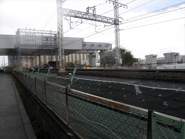 2024年 1月 4日 撮影