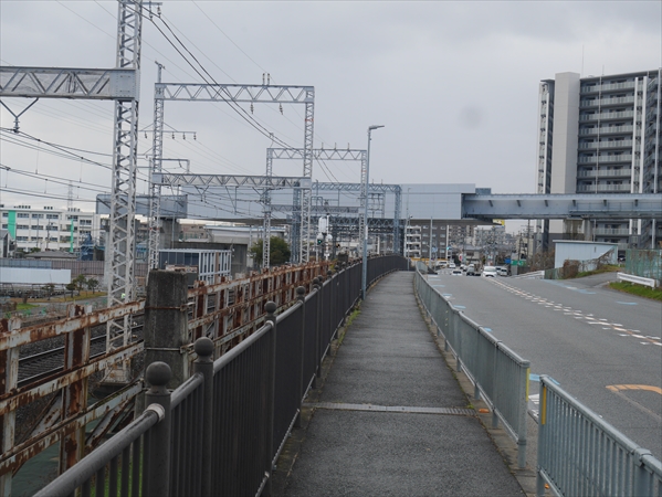 2024年 1月 4日 撮影