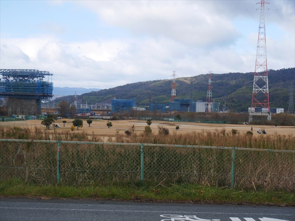 2024年 1月 4日 撮影