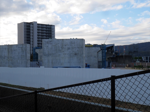 2024年 2月17日 撮影