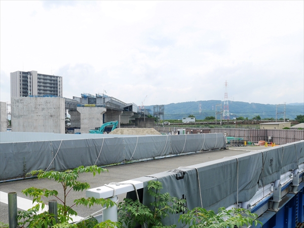 2024年 7月 4日 撮影