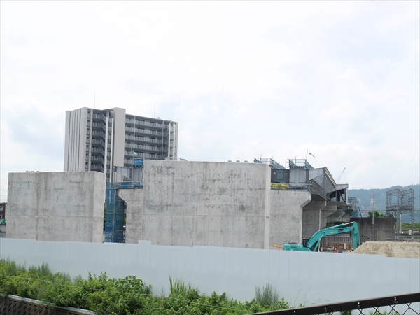 2024年 7月 4日 撮影