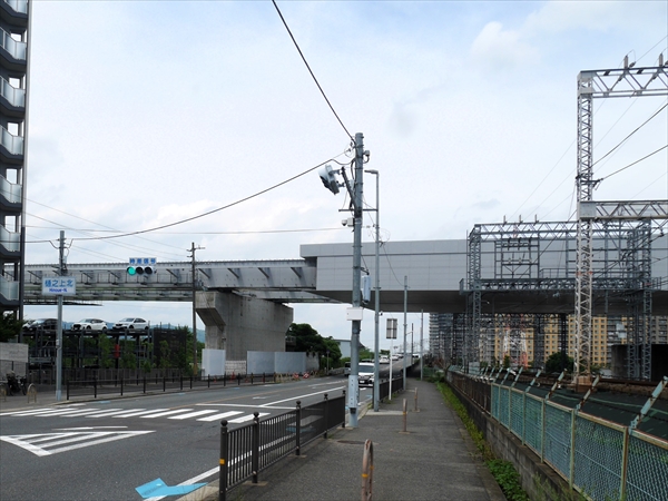 2024年 7月 4日撮影