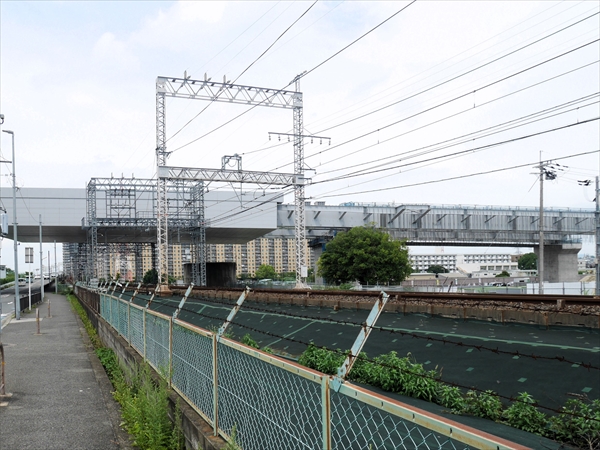 2024年 7月 4日撮影