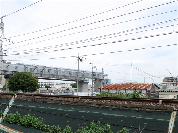 2024年 7月 4日撮影