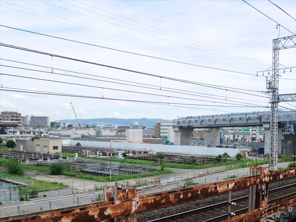 2024年 7月 4日撮影