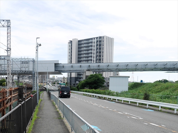 2024年 7月 4日撮影