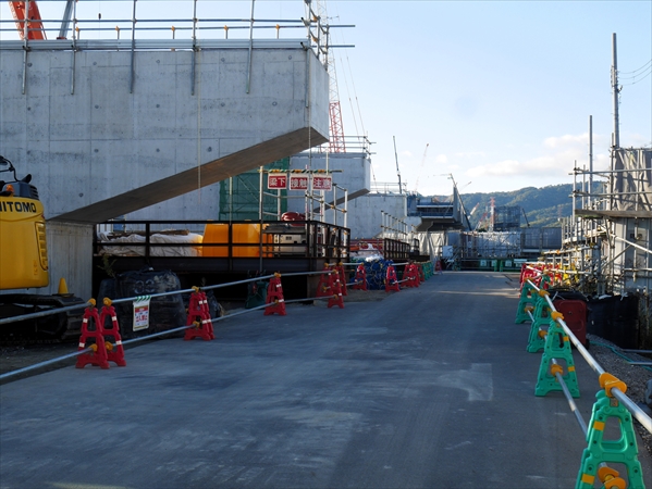 2024年11月19日 撮影