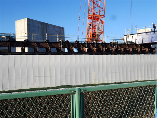 2024年11月19日 撮影