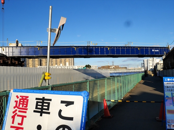 2024年11月19日 撮影