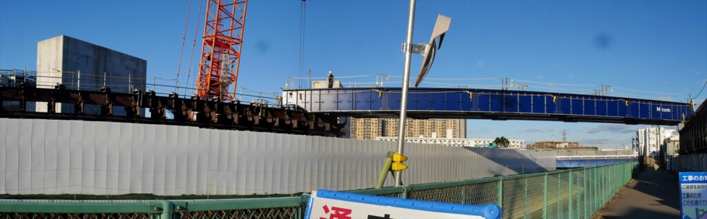 2024年11月19日 撮影