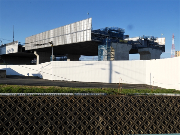 2024年11月19日 撮影