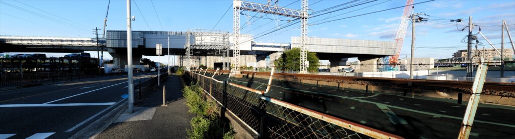 2024年11月19日 撮影