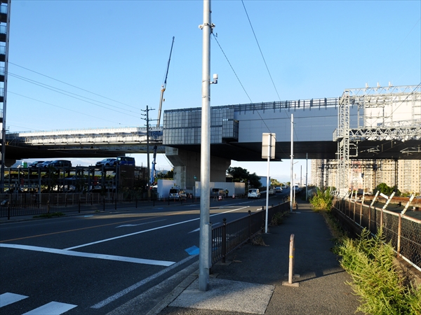 2024年11月19日 撮影